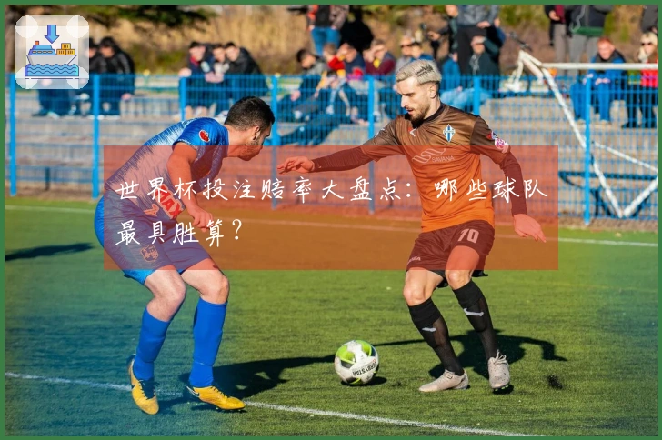 世界杯投注赔率大盘点：哪些球队最具胜算？