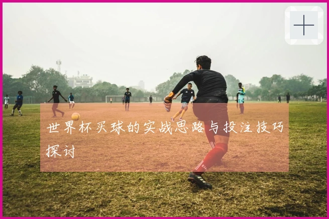 世界杯买球的实战思路与投注技巧探讨