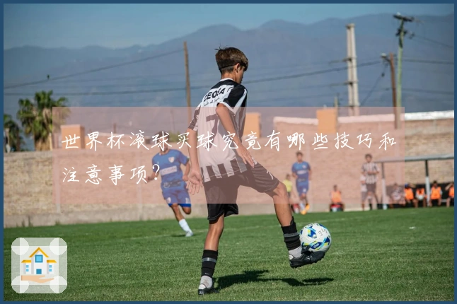 世界杯滚球买球究竟有哪些技巧和注意事项？