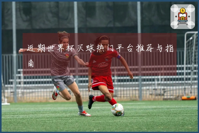 近期世界杯买球热门平台推荐与指南