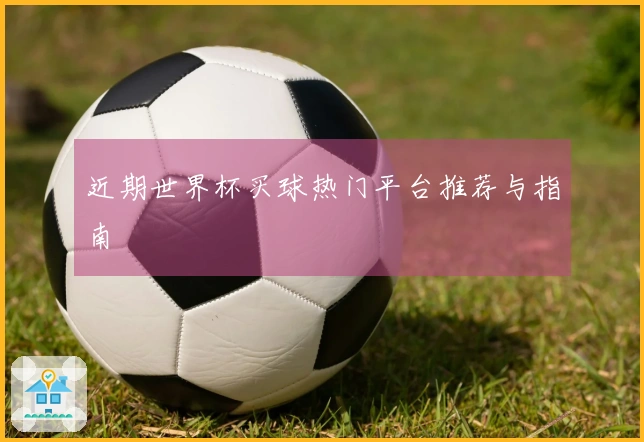 近期世界杯买球热门平台推荐与指南