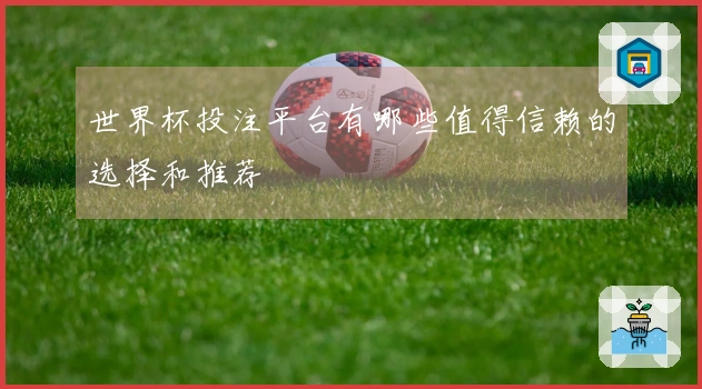世界杯投注平台有哪些值得信赖的选择和推荐