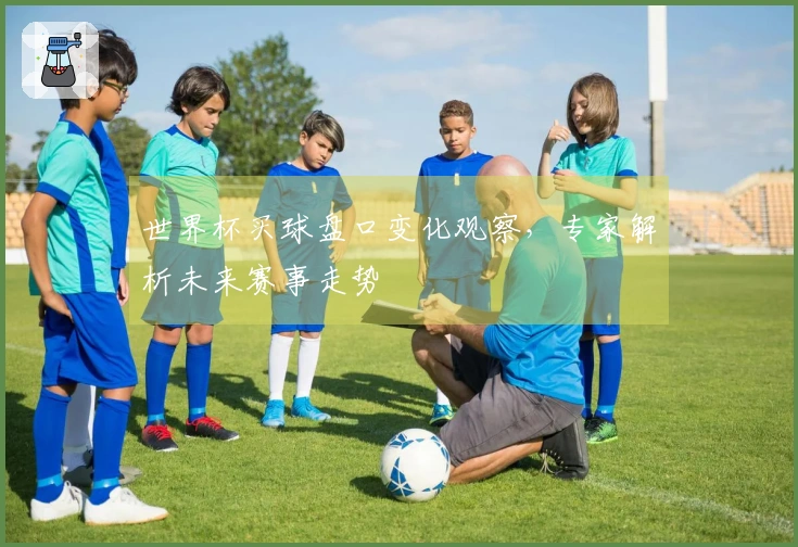 世界杯买球盘口变化观察，专家解析未来赛事走势
