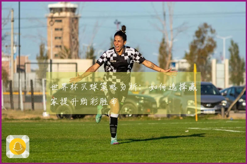 世界杯买球策略分析：如何选择赢家提升购彩胜率