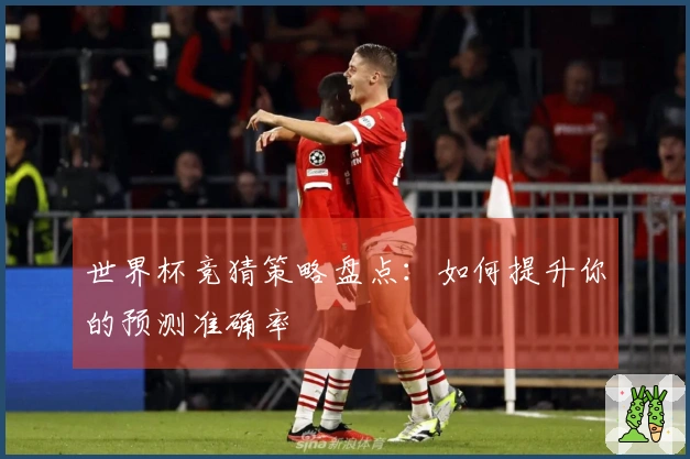 世界杯竞猜策略盘点：如何提升你的预测准确率