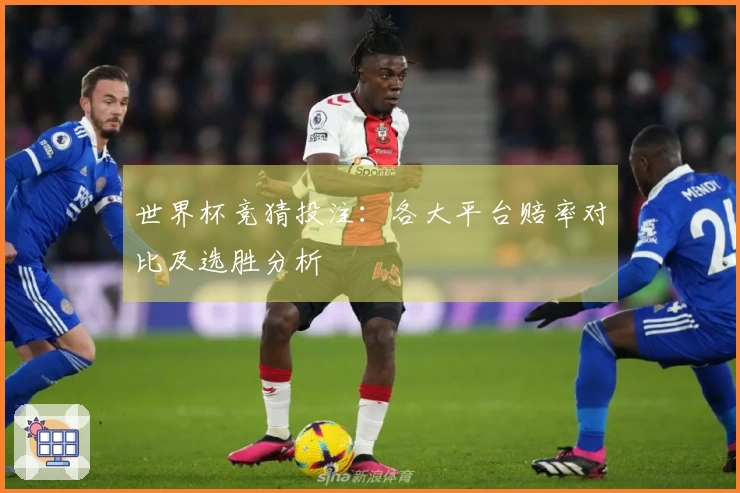 世界杯竞猜投注：各大平台赔率对比及选胜分析