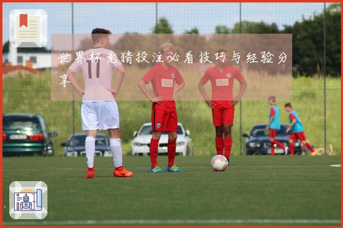 世界杯竞猜投注必看技巧与经验分享